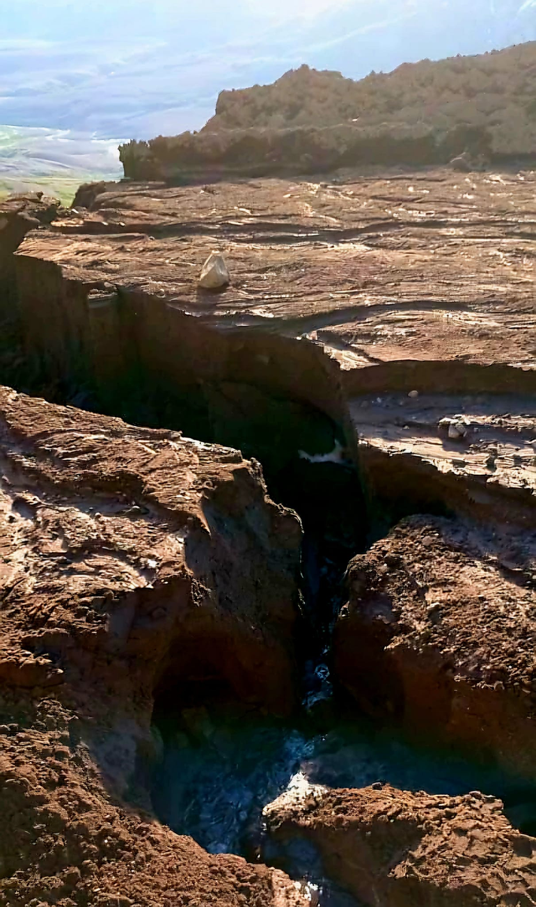 Foto: Juan Carlos Parada Foto: Juan Carlos Parada