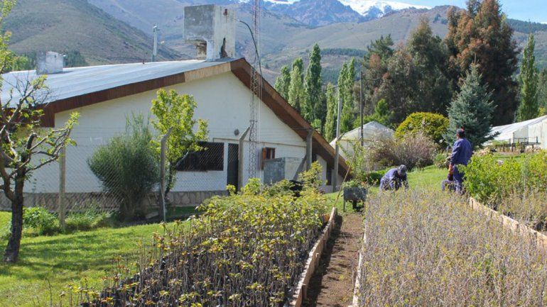 Los viveros están en el norte