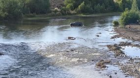 Borracho quedó varado con una camioneta prestada en el río Curi Leuvú | LM Neuquen Borracho quedó varado con una camioneta prestada en el río Curi Leuvú