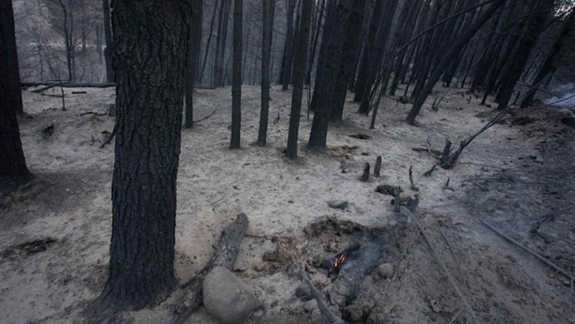El incendio forestal en Chubut continúa avanzando