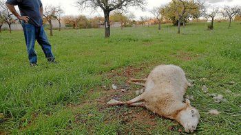 Imagen ilustrativa Imagen ilustrativa