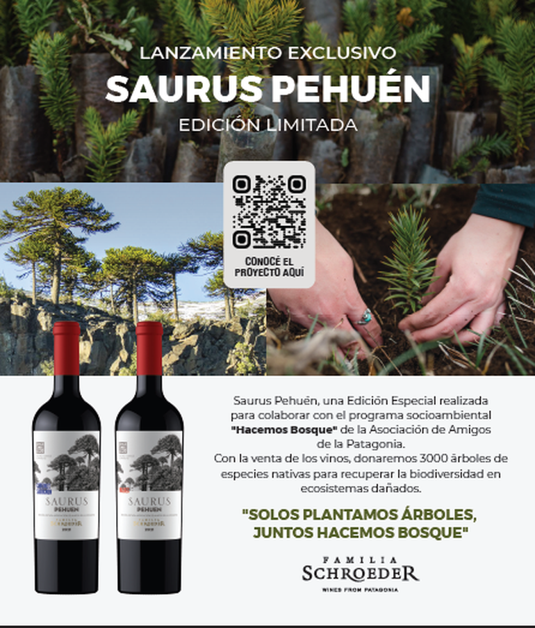 Bodega Familia Schroeder Bodega Familia Schroeder