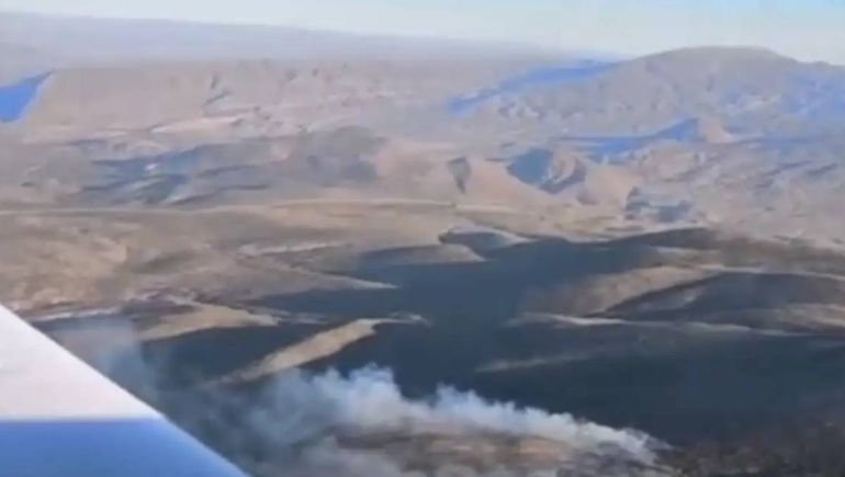 Con un intenso operativo, lograron contener un incendio forestal en el norte neuquino