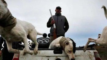 Polémica por la participación de menores en la caza de animales con jauría