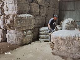 el precio de la lana salto un 25% y reactivo las ventas en la patagonia el precio de la lana salto un 25% y reactivo las ventas en la patagonia