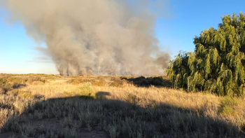 mas de 70 bomberos combatieron durante 10 horas un gran incendio de pastizales mas de 70 bomberos combatieron durante 10 horas un gran incendio de pastizales