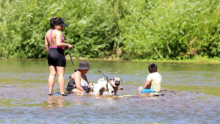 El viento sigue firme en Neuquén: ¿a cuánto llegarán las ráfagas?