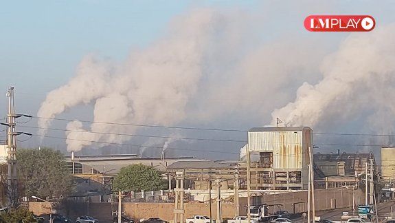 Temor por el intenso humo de las papeleras