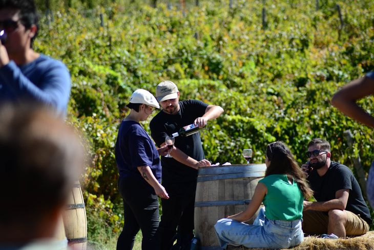 Las bodegas de San Patricio ya vienen trabajando en enoturismo. Foto: Bodega Familia Schroeder Las bodegas de San Patricio ya vienen trabajando en enoturismo. Foto: Bodega Familia Schroeder