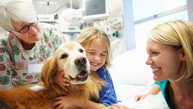 Los hábitos que posibilitan extender la vida de un perro