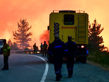 Los incendios ya afectaron más de 5.000 hectareas.