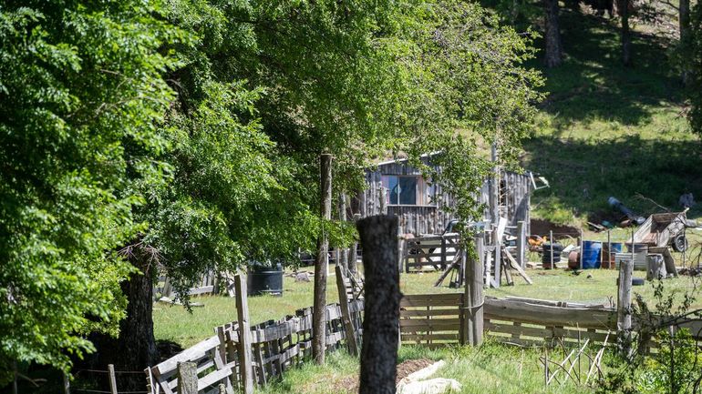 El campo de la familia Casanova en el paraje Pil Pil. Hace años está en conflicto por tierra con los Curruhuinca.