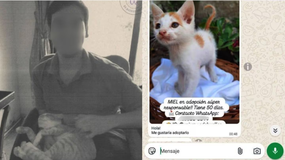Un joven de 27 años está acusado de matar 16 gatos. | LM Neuquen Un joven de 27 años está acusado de matar 16 gatos.