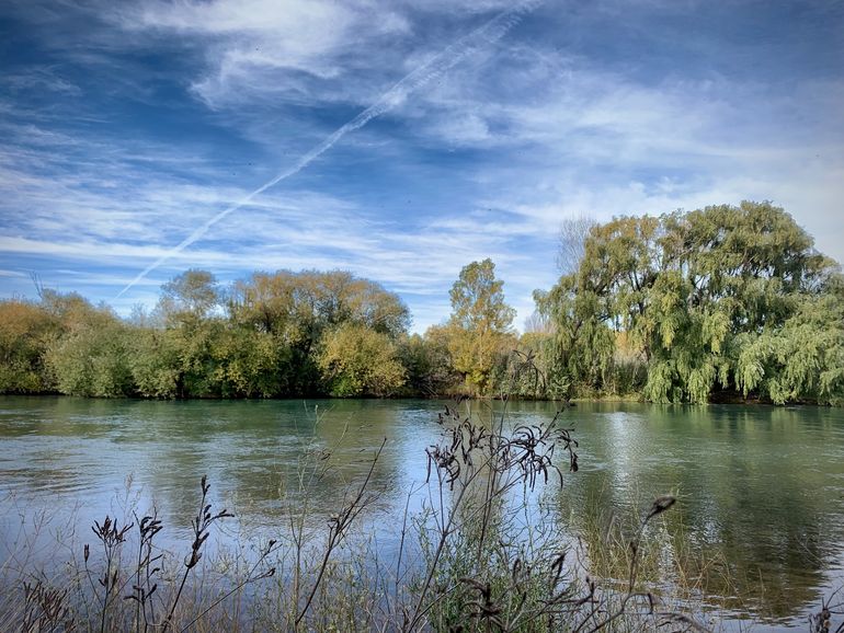 El río Neuquén es un lugar paradisíaco pero pocas costas son de acceso público.