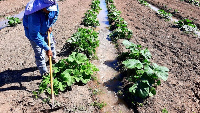 El Chañar apuesta a diversificar, sumar productores e impulsar la agricultura familiar