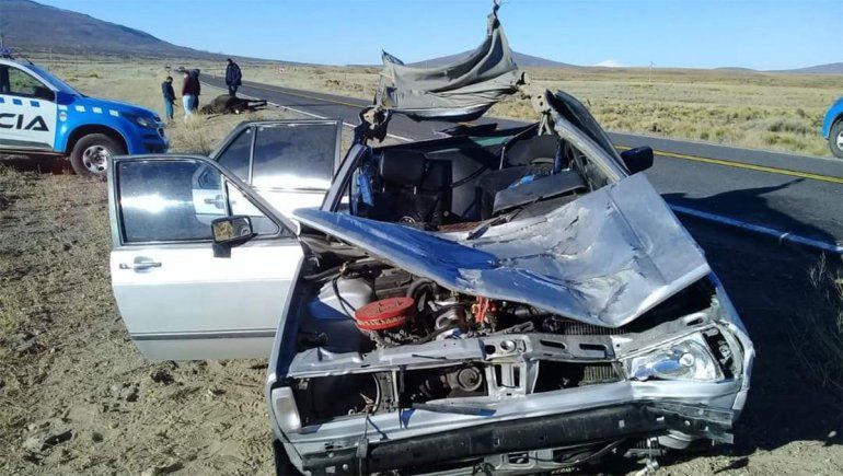 Un muerto y dos heridos tras chocar con un caballo en la Ruta 40