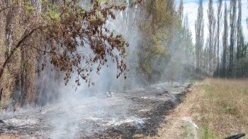 Incendios en centenario