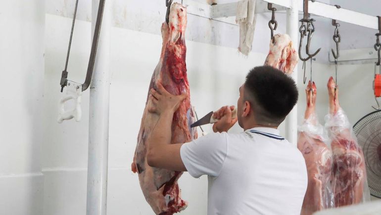 El ingreso de carne con hueso desde el norte del río Colorado se aplicará