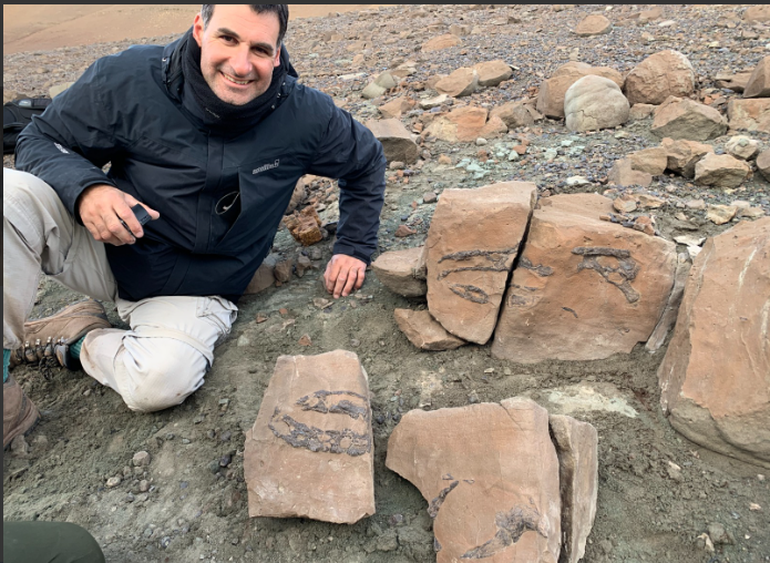 Los fósiles en el lugar en el que fueron hallados, en 2020, en plena pandemia de coronavirus. Los fósiles en el lugar en el que fueron hallados, en 2020, en plena pandemia de coronavirus. 