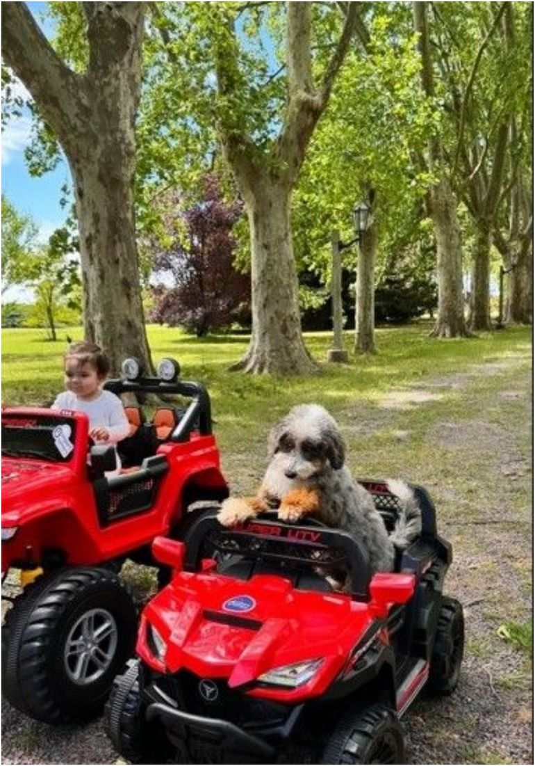 Sarah, la hija de Barby Franco, disfrutando de su nuevo regalo Sarah, la hija de Barby Franco, disfrutando de su nuevo regalo