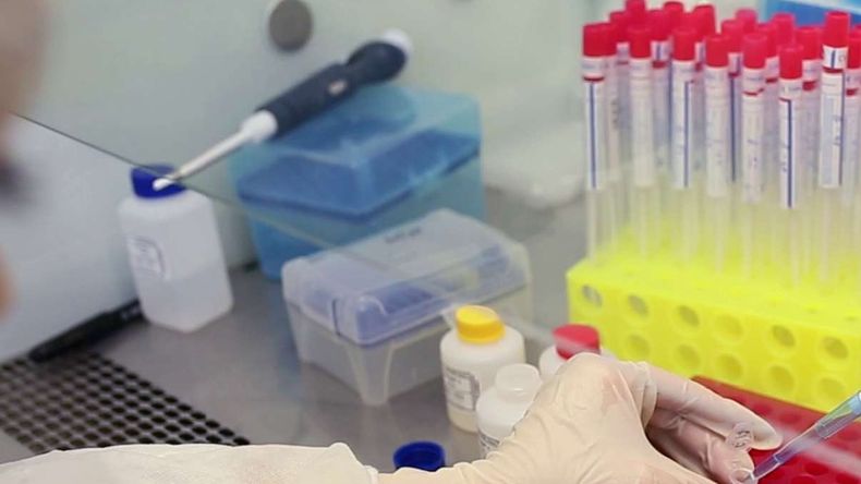 ¿Cómo funciona el laboratorio de ADN de Neuquén?