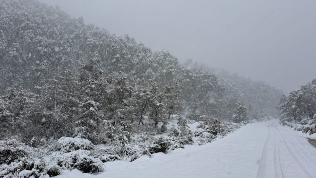El pronóstico se cumplió y cayó nieve en varias localidades: ¿llegará a Neuquén?