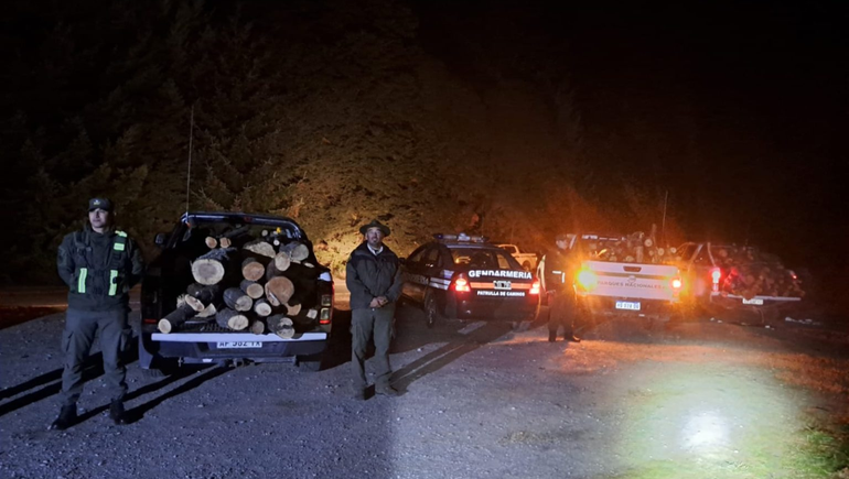 Los atraparon con el baúl lleno de leña ilegal de árboles milenarios