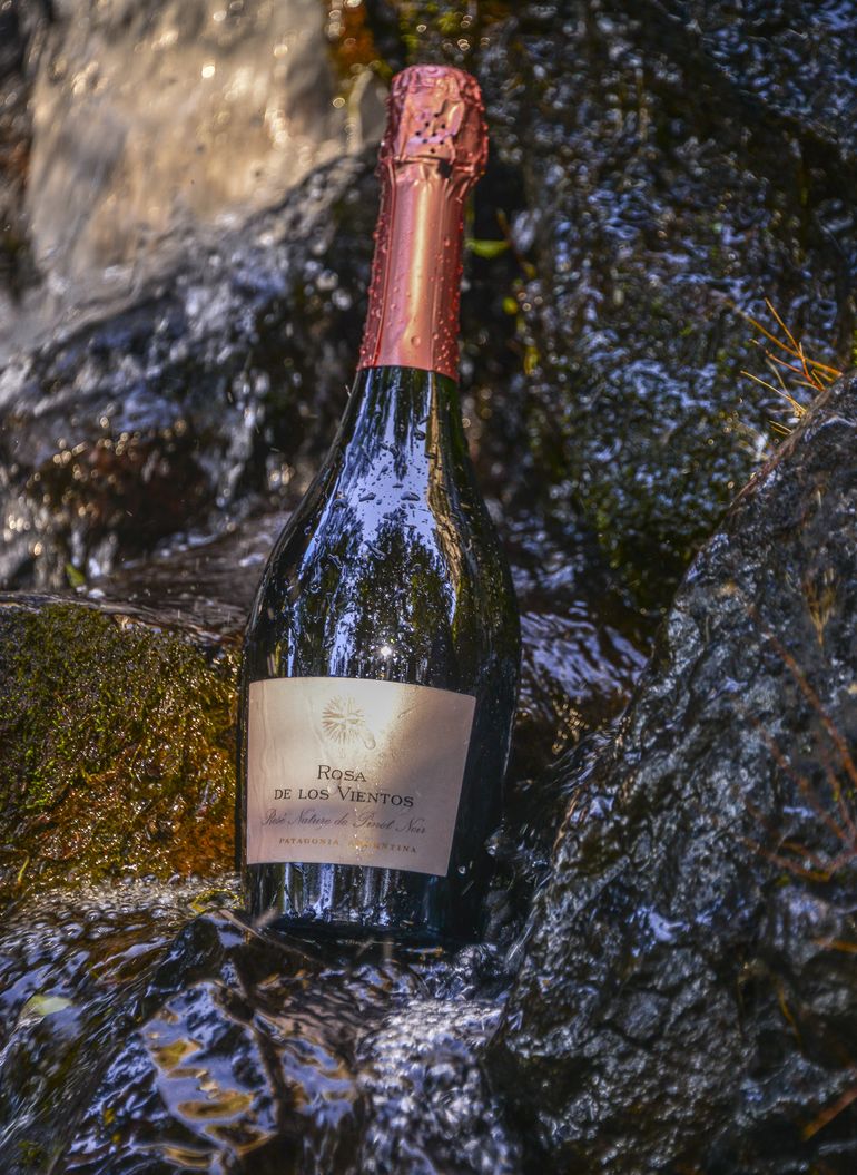 Rosa de Los Vientos, con un gran porcentaje de Pinot Noir. Rosa de Los Vientos, con un gran porcentaje de Pinot Noir.