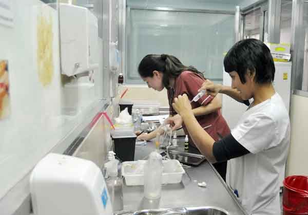 Un médico y un auxiliar de medicina