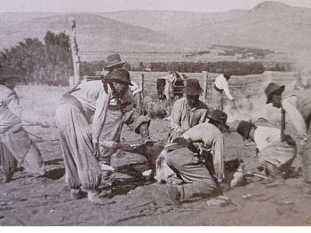 Neuquén, región sana y con futuro: el gran potencial de los valles irrigados. Neuquén, región sana y con futuro: el gran potencial de los valles irrigados.