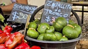 Feria en una chacra de Centenario.