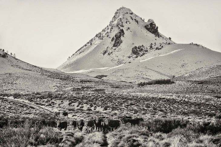 En la casa y en el campo, hay que prepararse para el invierno. Foto de Nicolás Haneck. En la casa y en el campo, hay que prepararse para el invierno. Foto de Nicolás Haneck.