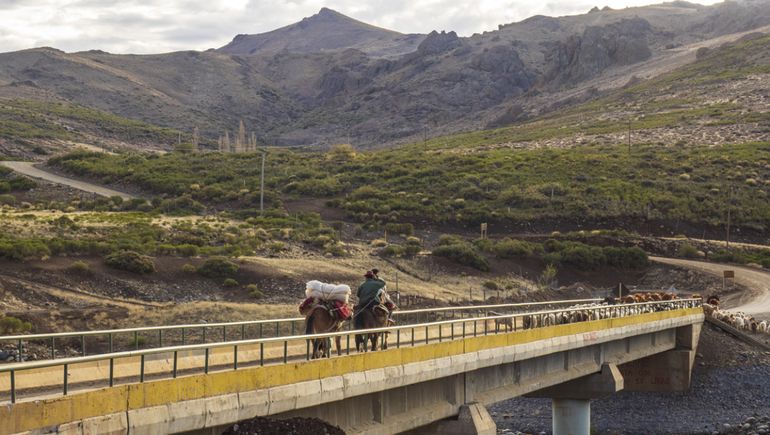 El criancero cruza con su rebaño el puente sobre el río Nahueve. El criancero cruza con su rebaño el puente sobre el río Nahueve.