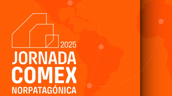 La jornada COMEX Norpatagónica se realizará el próximo 20 de agosto.