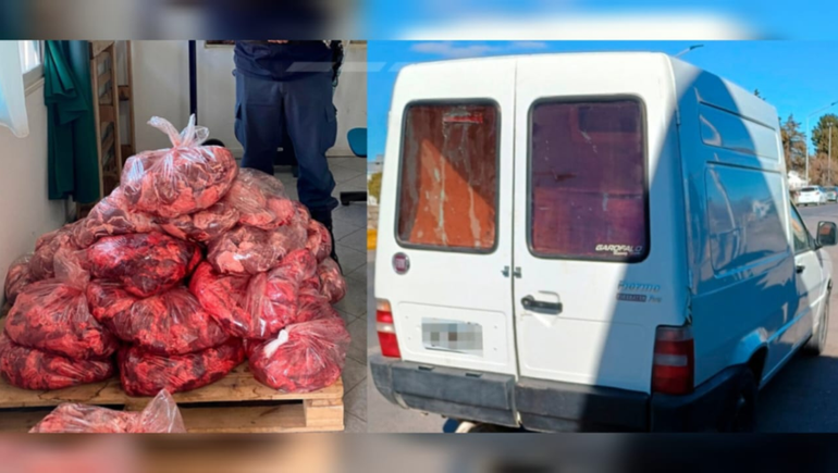 Personal del CIPPA decomisó el alimento y se encargará de su posterior destrucción.&nbsp;