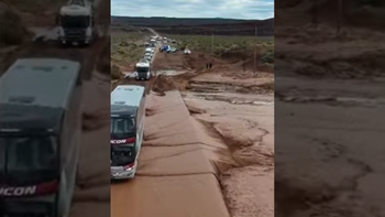 Se liberó parcialmente el tráfico en el acceso a Rincón de Los Sauces. Se liberó parcialmente el tráfico en el acceso a Rincón de Los Sauces.