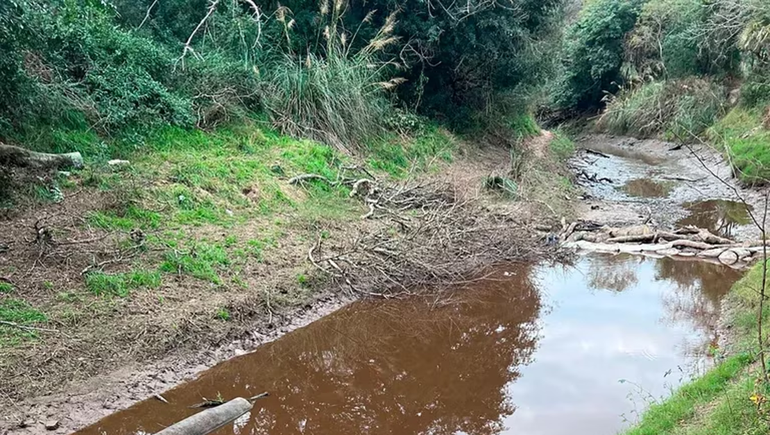 Cecilia Strzyzowski: se confirmó que los restos óseos no son humanos