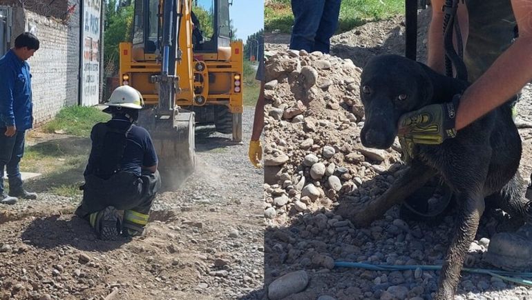 Los bomberos rescataron a una perrita atrapada en una cañería