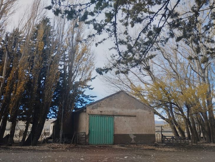 El histórico galpón de Cancha Huinganco fue recuperado y ahora es centro de acopio y esquila de la nueva cooperativa. Fotos: Walter Campos (TricaoMalalNoticias) El histórico galpón de Cancha Huinganco fue recuperado y ahora es centro de acopio y esquila de la nueva cooperativa. Fotos: Walter Campos (TricaoMalalNoticias)