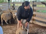 Educación y producción: el entusiasmo de los chicos que sueñan con ser veterinarios.