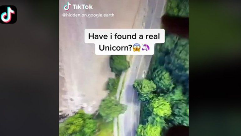 El increíble hallazgo en Google Maps se viralizó en TikTok | Foto: @hidden.on.google.earth