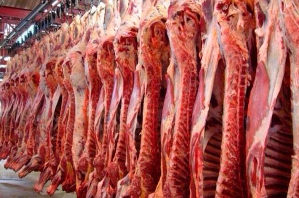 Exportaciones aumentaron 9 % en enero con la carne bovina como principal producto