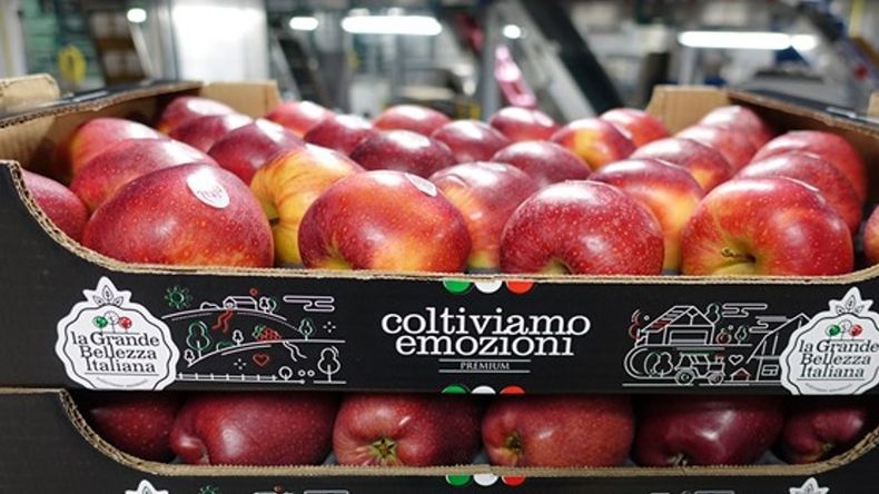 La manzana italiana se posiciona en el mercado de Brasil.