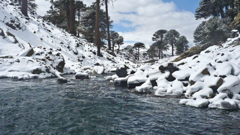 En casi toda la zona cordillerana cayó nieve. Todos esperan que el clima se mantenga así.