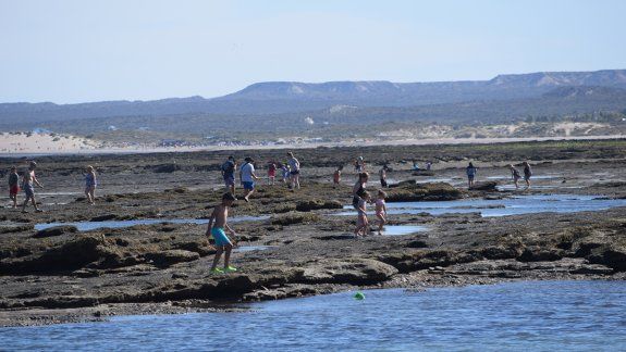 Las restingas de Las Grutas