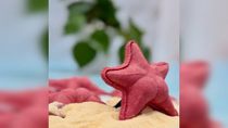 de las profundidades del mar a la mesa: la estrella culona tiene su propio sorrentino
