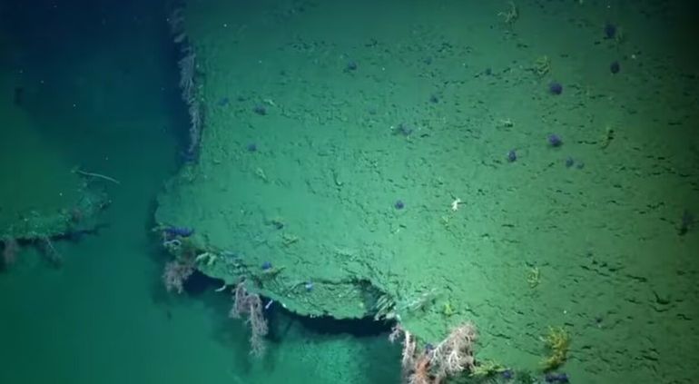 ¿Un fantasma en las transmisiones del CONICET bajo el mar? Las sorprendentes imágenes