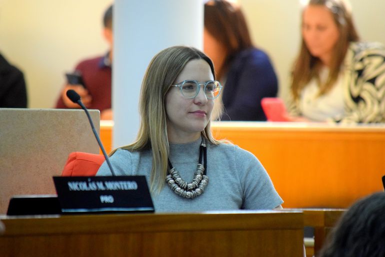 La concejala Denisse Stillger presentó el proyecto de ordenanza esta semana. 