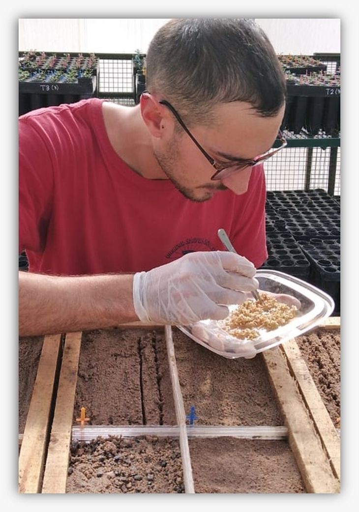 El suelo ha sufrido el impacto humano de forma profunda, afirma la tesis. Foto: gentileza. El suelo ha sufrido el impacto humano de forma profunda, afirma la tesis. Foto: gentileza.