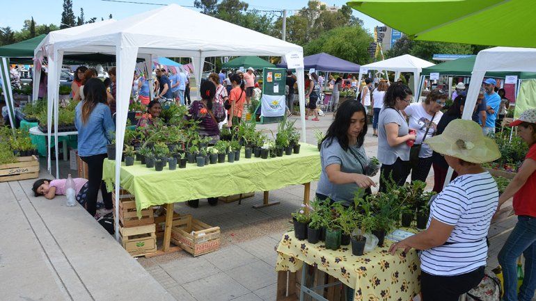 Huerteros urbanos cerraron el año con una gran feria